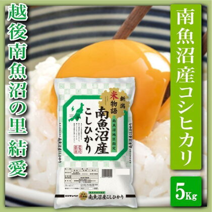 米 コシヒカリ 南魚沼産 5kg 越後南魚沼の里 | お米 こめ 白米 コシヒカリ 食品 人気 おすすめ 送料無料 魚沼 南魚沼 南魚沼市 新潟県産 新潟県 精米 産直 産地直送 お取り寄せ