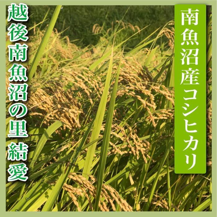 【ふるさと納税】米 コシヒカリ 南魚沼産 15kg 越後南魚沼の里 | お米 こめ 白米 食品 人気 おすすめ 送料無料 魚沼 南魚沼 南魚沼市 新潟県 精米 産直 産地直送 お取り寄せ