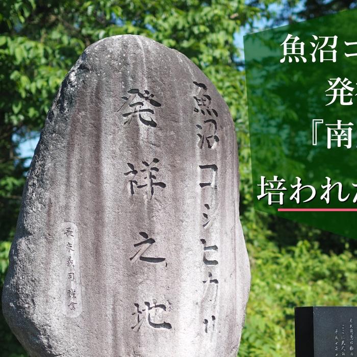 【ふるさと納税】米 定期便 玄米 南魚沼産 コシヒカリ 45kg ( 5kg × 9ヵ月 ) | お米 こめ 食品 人気 おすすめ 送料無料 魚沼 南魚沼 南魚沼市 新潟県 精米 産直 産地直送 お取り寄せ お楽しみ