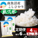 米 定期便 無洗米 南魚沼産 コシヒカリ 24kg ( 2kg × 2袋 × 6ヵ月 ) | お米 こめ 白米 食品 人気 おすすめ 送料無料 魚沼 南魚沼 南魚沼市 新潟県 精米 産直 産地直送 お取り寄せ お楽しみ