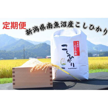 【定期便】南魚沼しおざわ産コシヒカリ　5キロ×12か月 | お米 こめ 白米 食品 人気 おすすめ 送料無料