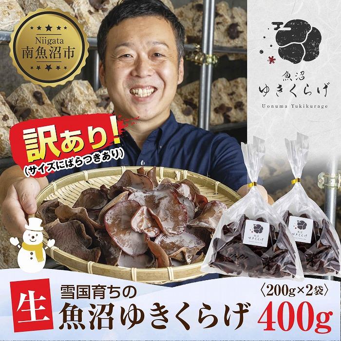 【ふるさと納税】訳あり 国産 生 きくらげ 200g×2袋 計400g 小分け 規格外 訳アリ 栄養豊富 無農薬 無添加 オーガニック 自家栽培 雪国 魚沼ゆき...