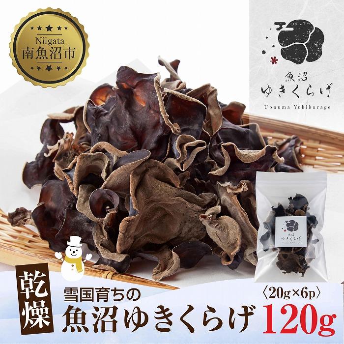 国産 乾燥 きくらげ 20g×6パック 計120g 小分け 栄養豊富 無農薬 無添加 オーガニック 自家栽培 雪国 魚沼ゆきくらげ キクラゲ 木耳 きのこ キノコ ビタミンD 肉厚 健康 食品 食物繊維 佃煮 歯ごたえ 菌床 食感 高品質 送料無料 新潟県 南魚沼市