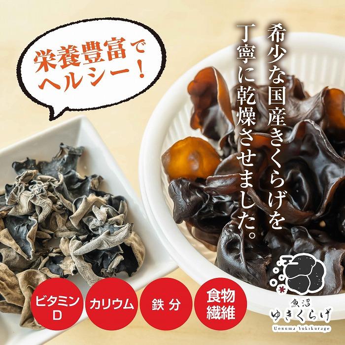 【ふるさと納税】国産 乾燥 きくらげ 20g×6パック 計120g 小分け 栄養豊富 無農薬 無添加 オーガニック 自家栽培 雪国 魚沼ゆきくらげ キクラゲ 木耳 きのこ キノコ ビタミンD 肉厚 健康 食品 食物繊維 佃煮 歯ごたえ 菌床 食感 高品質 送料無料 新潟県 南魚沼市