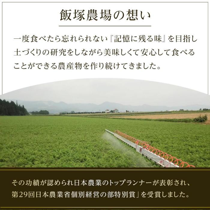 【ふるさと納税】【夏季限定】飯塚農場産の八色原すいか　大玉2玉（赤1玉・黄1玉）セット | フルーツ 果物 くだもの 食品 人気 おすすめ 送料無料