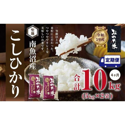 【定期便4ヶ月】南魚沼産こしひかり　みやた米10kg（5kg×2袋） | お米 こめ 白米 食品 人気 おすすめ 送料無料