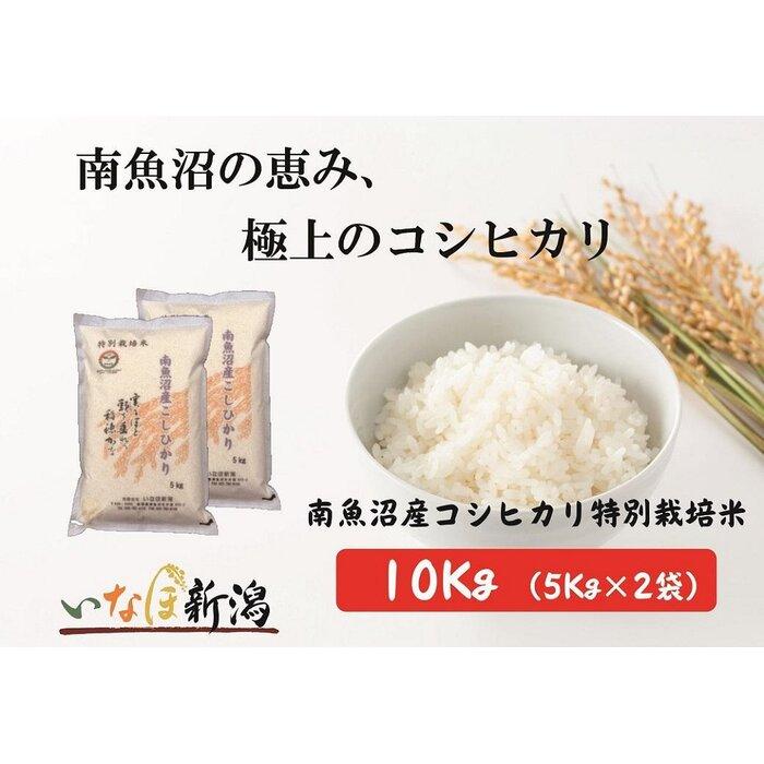 【ふるさと納税】南魚沼産コシヒカリ特別栽培米 白米 10kg