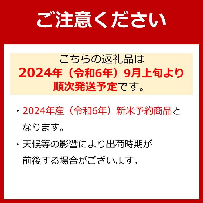 【ふるさと納税】【令和6年産新米予約／令和6年9月上旬より順次発送】南魚沼産コシヒカリ5kg | 送料無料 コシヒカリ 魚沼 新潟県産 新潟県 南魚沼市 精米 産直 産地直送 お取り寄せ お楽しみ 米 5kg お米 こしひかり 新潟 南魚沼 魚沼産 南魚沼産 白米