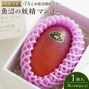 【ふるさと納税】【2025年7月上旬発送開始予定】南魚沼産 魚沼の妖精 1個入りマンゴー