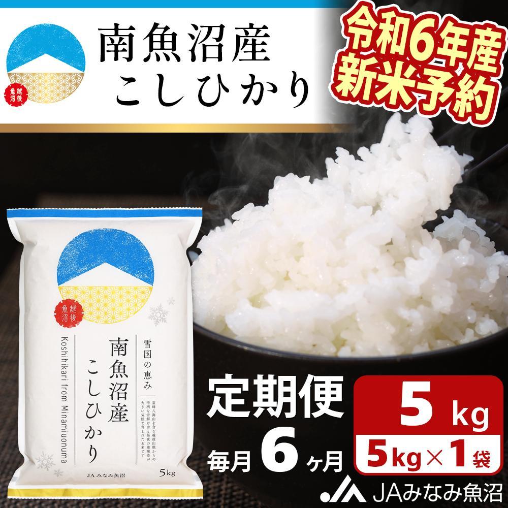 【ふるさと納税】【令和6年産新米予約 JA発定期便】米 定期