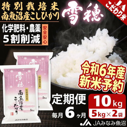 【令和6年産新米予約 JA発定期便】米 定期便 新米予約 南魚沼産 コシヒカリ 60kg ( 10kg × 6ヵ月 ) 特別栽培米 雪穂 | お米 こめ 白米 食品 人気 おすすめ 送料無料 魚沼 南魚沼 南魚沼市 新潟県 精米 産直 産地直送 お取り寄せ お楽しみ