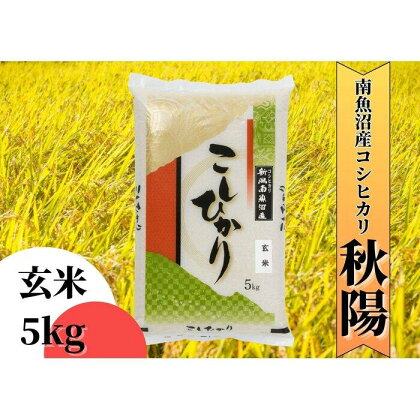 【令和5年産】南魚沼産コシヒカリ「秋陽」（玄米5kg）新潟県の特A地区南魚沼市の美味しいお米 | お米 こめ 食品 コシヒカリ 人気 おすすめ 送料無料 魚沼 南魚沼 南魚沼市 新潟県 玄米 産直 産地直送 お取り寄せ