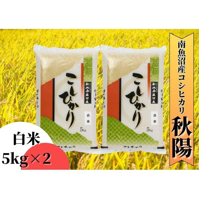 【ふるさと納税】【令和5年産】南魚沼産コシヒカリ「秋陽」（白