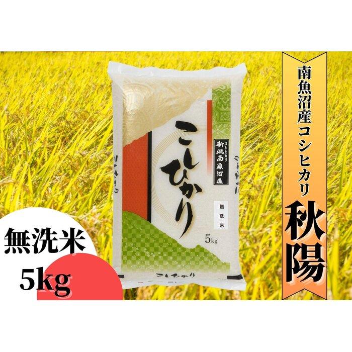 [令和5年産]南魚沼産コシヒカリ「秋陽」(無洗米5kg)新潟県の特A地区南魚沼市の美味しいお米 | お米 こめ 白米 コシヒカリ 食品 人気 おすすめ 送料無料 魚沼 南魚沼 南魚沼市 新潟県産 新潟県 精米 産直 産地直送 お取り寄せ