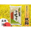 【ふるさと納税】【令和5年産】南魚沼産コシヒカリ「秋陽」(玄米5kg)×6回 新潟県の特A地区南魚沼市の美味しいお米 | お米 こめ 食品 コシヒカリ 人気 おすすめ 送料無料 魚沼 南魚沼 南魚沼市 新潟県 玄米 産直 産地直送 お取り寄せ お楽しみ