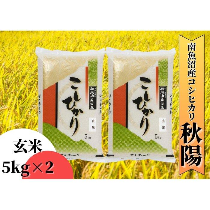 【ふるさと納税】【令和5年産】南魚沼産コシヒカリ「秋陽」(玄米10kg)を全12回 新潟県の特A地区南魚沼市の美味しいお米 | お米 こめ 食品 コシヒカリ 人気 おすすめ 送料無料 魚沼 南魚沼 南魚沼市 新潟県 玄米 産直 産地直送 お取り寄せ お楽しみ