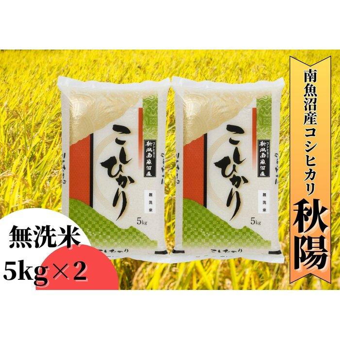 【ふるさと納税】【令和5年産】南魚沼産コシヒカリ「秋陽」(無洗米10kg)を全3回 新潟県の特A地区南魚沼市の美味しいお米 | お米 こめ 白米 コシヒカリ 食品 人気 おすすめ 送料無料 魚沼 南魚沼 南魚沼市 新潟県産 新潟県 精米 産直 産地直送 お取り寄せ お楽しみ