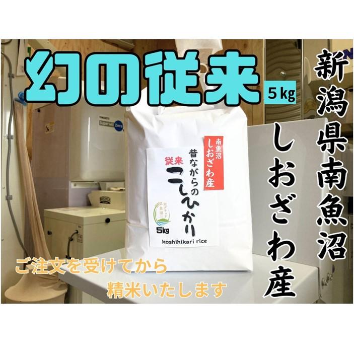 【ふるさと納税】地元