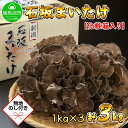 【ふるさと納税】【無地のし】 新潟県 南魚沼産 厳選 国産 石坂 高級 舞茸 まいたけ 産地直送 1kg ×3箱 計3kg 贈り物 ギフト お中元 お歳暮 石坂きのこ | 野菜 やさい 食品 人気 おすすめ 送料無料