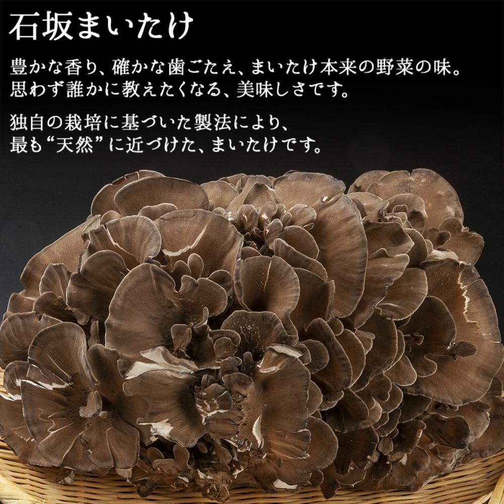 【ふるさと納税】【無地のし】 新潟県 南魚沼産 厳選 国産 石坂 高級 舞茸 まいたけ 産地直送 1kg ×3箱 計3kg 贈り物 ギフト お中元 お歳暮 石坂きのこ | 野菜 やさい 食品 人気 おすすめ 送料無料