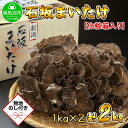 【ふるさと納税】【無地のし】 新潟県 南魚沼産 厳選 国産 石坂 高級 舞茸 まいたけ 産地直送 1kg ×2箱 計2kg 贈り物 ギフト お中元 お歳暮 石坂...