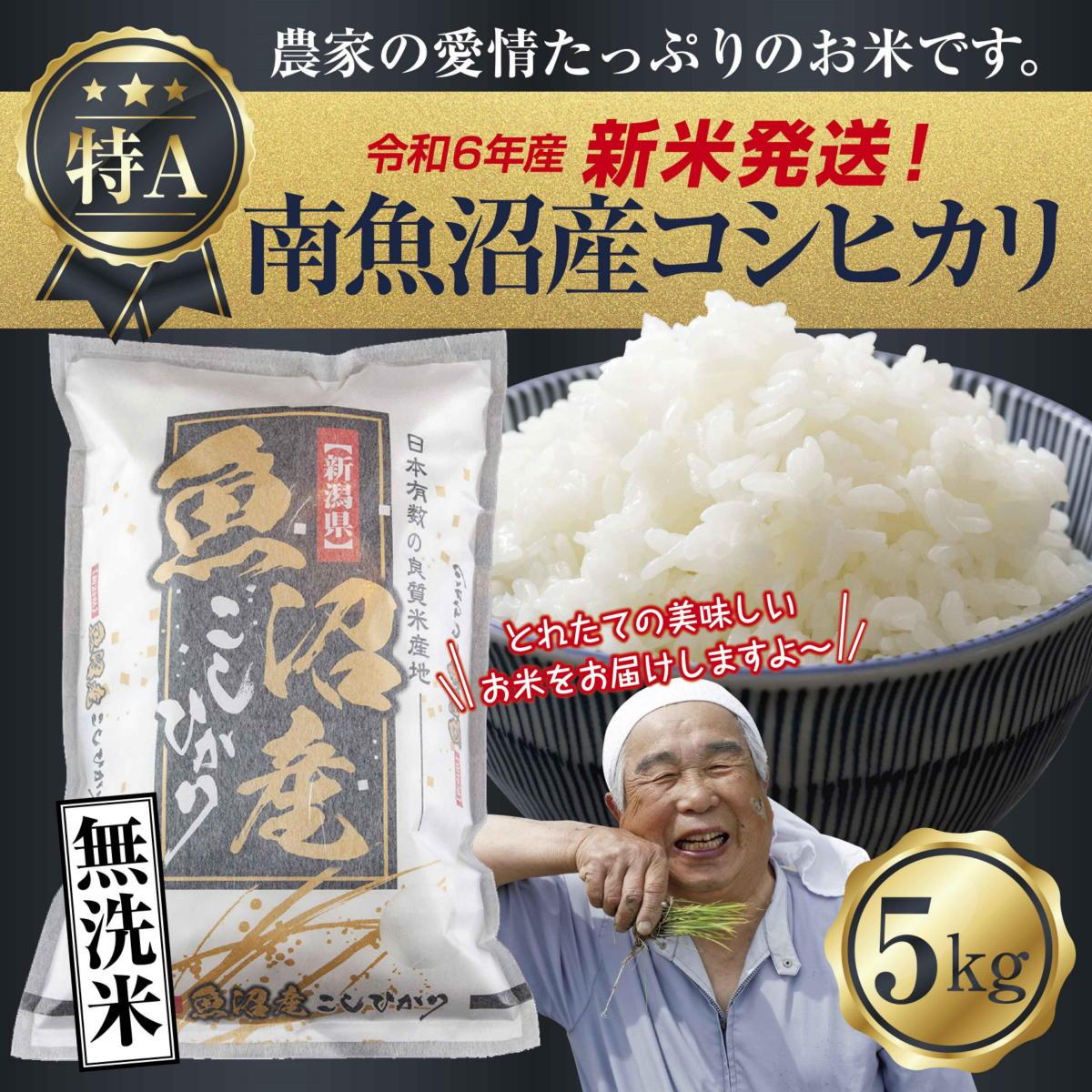 【ふるさと納税】【新米発送】「無洗米」 令和6年産 新潟県 