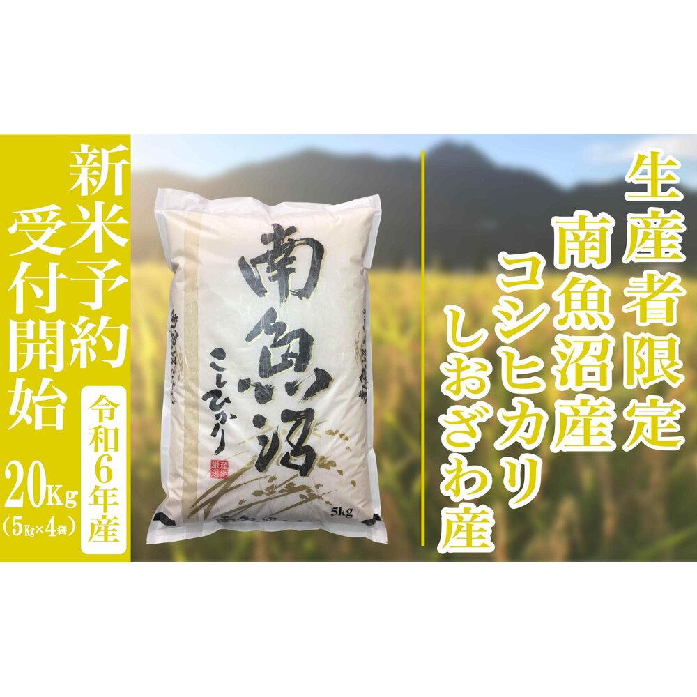 【ふるさと納税】【新米予約・令和6年産】精米20Kg 生産者