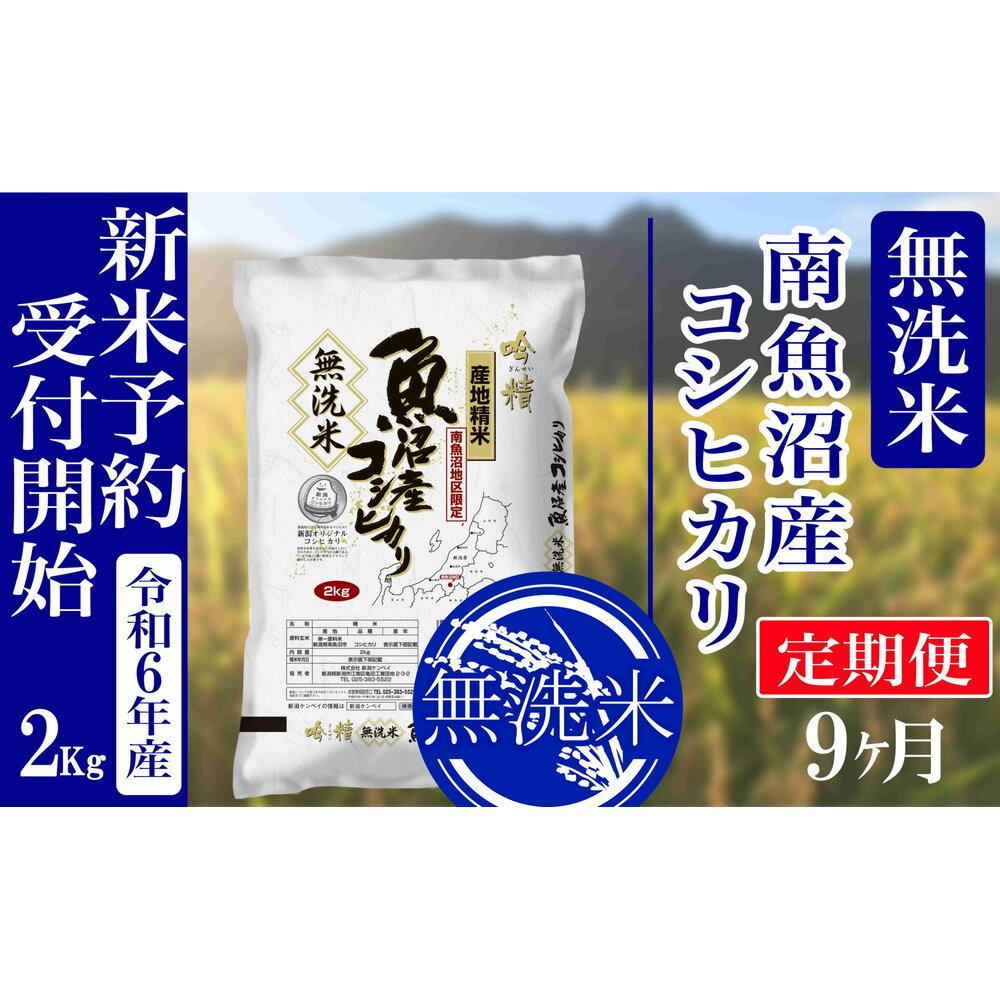 【ふるさと納税】【新米予約・令和6年産】定期便9ヶ月：無洗米