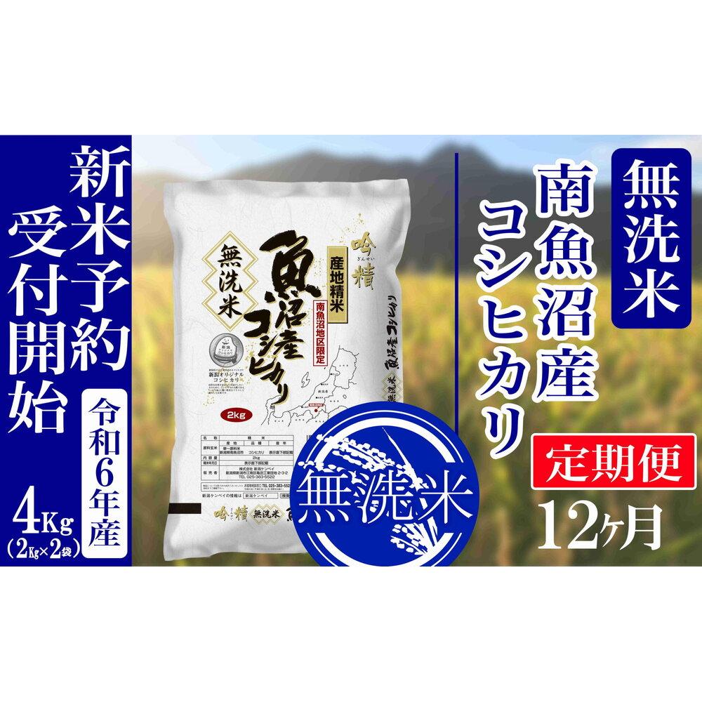 【ふるさと納税】【新米予約・令和6年産】定期便12ヶ月：無洗