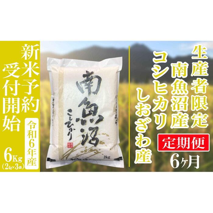 【ふるさと納税】【新米予約・令和6年産】定期便6ヶ月：精米6kg生産者限定 南魚沼しおざわ産コシヒカリ | お米 こめ 白米 食品 人気 おすすめ 送料無料