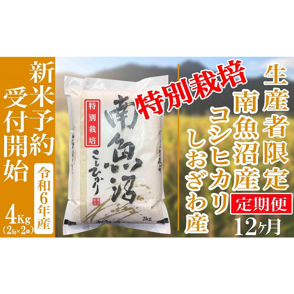 【ふるさと納税】【新米予約・令和6年産】定期便12ヶ月：精米4Kg 【特別栽培】生産者限定 南魚沼しおざわ産コシヒカリ | お米 こめ 白米 コシヒカリ 食品 人気 おすすめ 送料無料 魚沼 南魚沼 南魚沼市 新潟県産 新潟県 精米 産直 産地直送 お取り寄せ お楽しみ