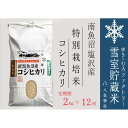 【ふるさと納税】【令和7年産新米予約】特別栽培【定期便2kg×12回】雪室貯蔵米 南魚沼塩沢産コシヒカリ【2025年10月下旬より順次発送予定】 | お米 こめ 白米 食品 人気 おすすめ 送料無料