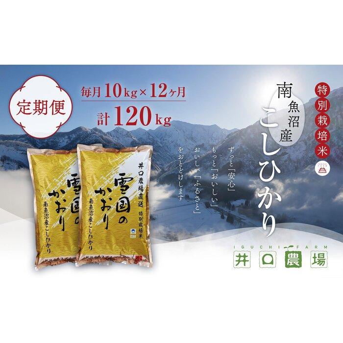 【ふるさと納税】【令和6年産新米予約／令和6年10月上旬より順次発送】【定期便】10kg×12ヶ月　南魚沼産コシヒカリ 井口農場 こだわりの 特別栽培米 | お米 こめ 白米 コシヒカリ 食品 人気 おすすめ 送料無料 魚沼 南魚沼 南魚沼市 新潟県産 新潟県 精米 産直 産地直送