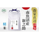 【ふるさと納税】【令和7年産新米予約】精米5kg 南魚沼産新之助※令和7年10月中旬から順次発送・農家直送_AG | お米 こめ 白米 新之助 食品 人気 おす...