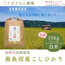 【ふるさと納税】《新米予約受付》白米10kg 令和7年産 南魚沼産こしひかり 魚野川流域 匠 雲蝶(たくみ うんちょう)\生産農家直送/【2025年10月上旬より順次発送予定】 | お米 こめ 白米 コシヒカリ 食品 人気 おすすめ 送料無料(4)