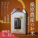 【ふるさと納税】【R7年産新米予約】米 定期便 コシヒカリ 南魚沼産 60kg ( 5kg × 12ヵ月) 桑原農産【2025年9月下旬より順次発送予定】 | ...