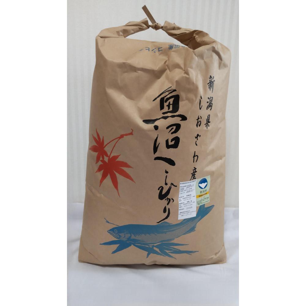 【ふるさと納税】【令和7年新米】新潟県認証特別栽培米魚沼産しおざわコシヒカリ玄米30kg | お米 こめ 白米 食品 人気 おすすめ 送料無料