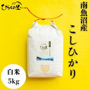 【ふるさと納税】【令和7年産新米予約】最高金賞 南魚沼産コシヒカリ 白米5kg もっちり甘い! ひらくの里ファーム【2025年10月上旬より順次発送予定】 | ...