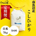 【ふるさと納税】【定期便 令和7年産新米予約】(全6ヶ月)もっちり甘い!南魚沼産コシヒカリ 白米5kg ひらくの里ファーム【2025年10月上旬より順次発送予定...