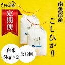【ふるさと納税】【定期便 令和7年産新米予約】(全12ヶ月)もっちり甘い!南魚沼産コシヒカリ 白米5kg×2 ひらくの里ファーム【2025年10月上旬より順次発...