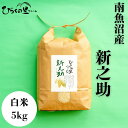 【ふるさと納税】【令和7年産新米予約】金賞 南魚沼産新之助 白米5kg きらめく大粒! ひらくの里ファーム【2025年10月上旬より順次発送予定】 | お米 こ...