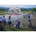 【ふるさと納税】【定期便 令和7年産新米予約】南魚沼産(しおざわ)こしひかり8割減農薬米、精米5Kg×12回【2025年9月中旬より順次発送予定】 | お米 こ...