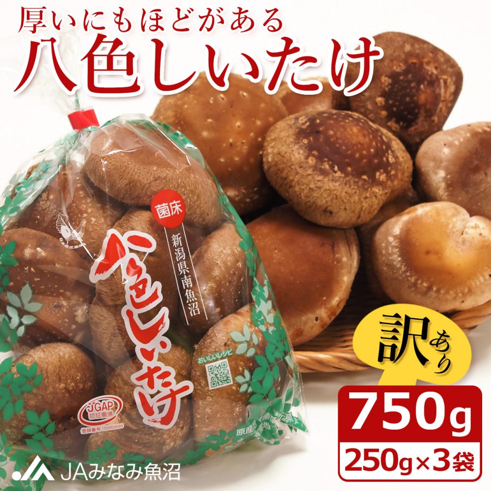 【ふるさと納税】【家庭用】厚いにもほどがある「八色しいたけ」750g(250g×3袋)訳あり 不ぞろい 農家応援 | 食品 加工食品 訳あり 不揃い 家庭用 自宅用 人気 おすすめ 送料無料