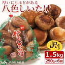 【ふるさと納税】【家庭用】厚いにもほどがある「八色しいたけ」1.5kg(250g×6袋)訳あり 不ぞろい 農家応援 | 食品 加工食品 訳あり 不揃い 家庭用 自宅用 人気 おすすめ 送料無料