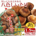 【ふるさと納税】【JAみなみ魚沼定期便】家庭用「八色しいたけ」(1.5kg×全12回) 訳あり 不ぞろい 農家応援 厚いにもほどがある | 食品 加工食品 訳あ...