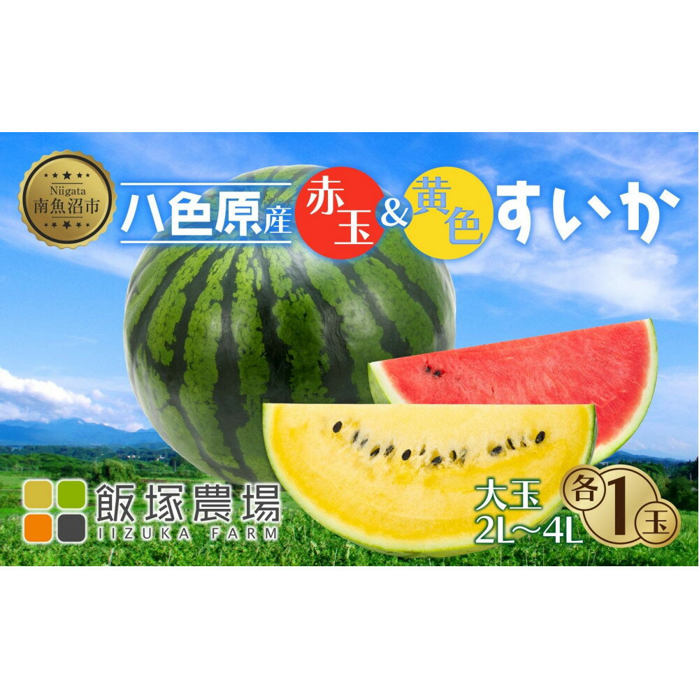 【ふるさと納税】【先行受付】 八色原産 赤玉&黄色 すいか セット 2~4L 計2玉 スイカ 大玉 金色羅王 西瓜 果物 フルーツ 旬 希少 貴重 甘い 国産 産地直送 食べ比べ お取り寄せ 送料無料 飯塚農場 新潟県 南魚沼市