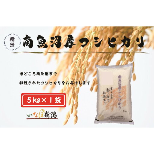 【ふるさと納税】【令和7年度産新米予約】南魚沼産コシヒカリ 白米 5kg【2025年10月上旬より順次発送予定】 | お米 こめ 白米 食品 人気 おすすめ 送料無料 【ふるさと納税】【令和7年度産新米予約】南魚沼産コシヒカリ 白米 5kg【2025年10月上旬より順次発送予定】 | お米 こめ 白米 食品 人気 おすすめ 送料無料