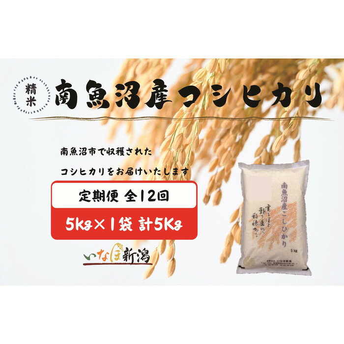 【ふるさと納税】【令和7年産】【定期配送】南魚沼産コシヒカリ 白米 5kg 全12回【2025年10月上旬より順次発送予定】 | お米 こめ 白米 食品 人気 おすすめ 送料無料