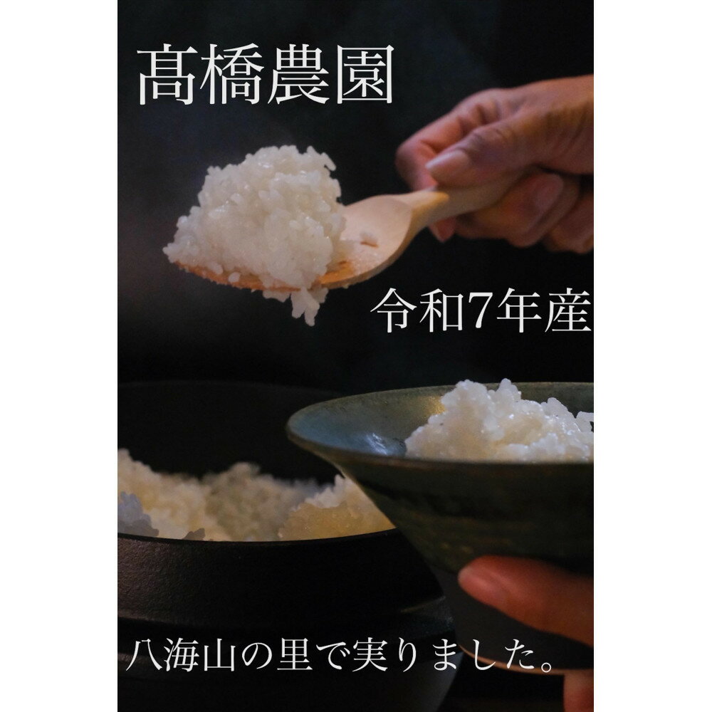 【ふるさと納税】【令和7年産新米予約】南魚沼産こがねもち5kg 八海山の里で実りました。【2025年9月中旬より順次発送予定】 | お米 こめ 白米 食品 人気 おすすめ 送料無料