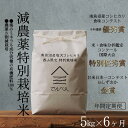 【ふるさと納税】【定期便隔月お届け令和7年産新米予約】南魚沼食味コンクール4年連続優秀賞 減農薬特別栽培米5kg×6回 南魚沼塩沢産コシヒカリ【2025年9月中...